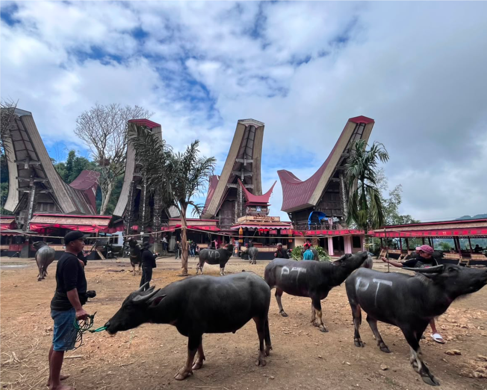 Hochland, Megalithen und das ländliche Toraja