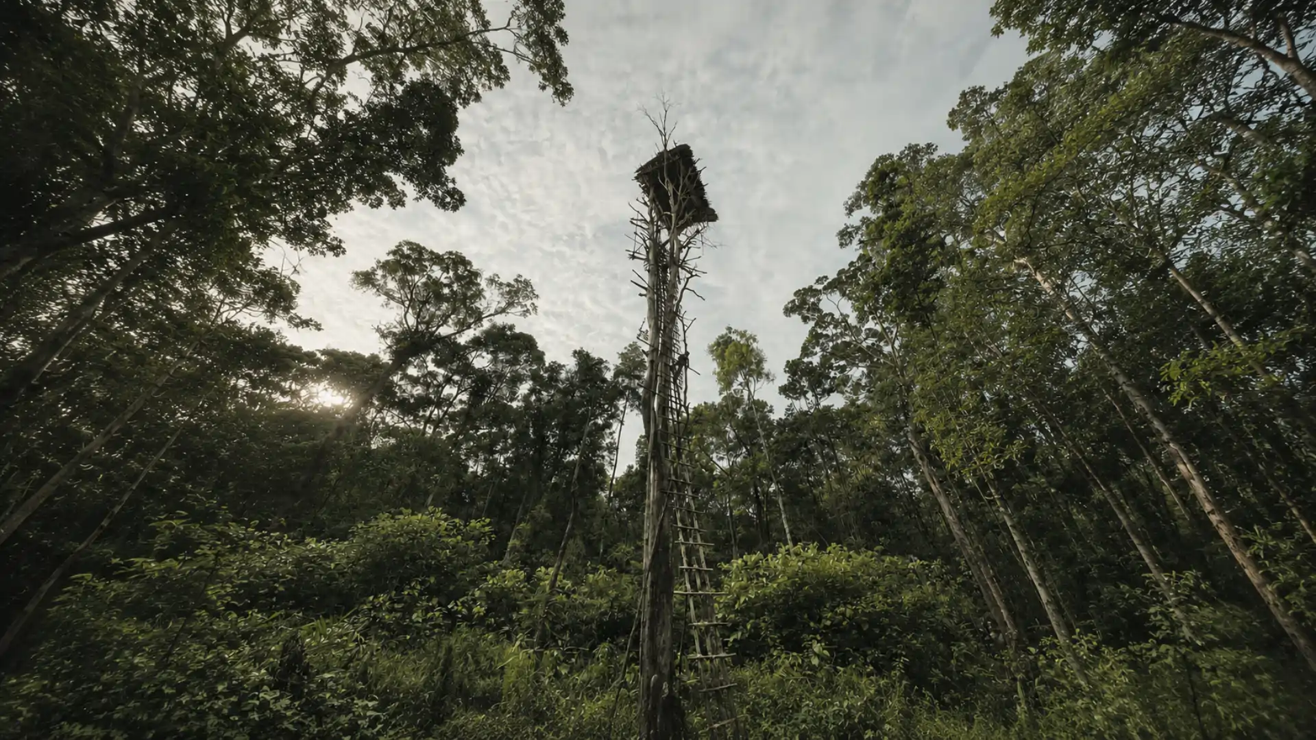 Korowai & Asmat — Forest Worlds, River Cultures & Remote Frontiers