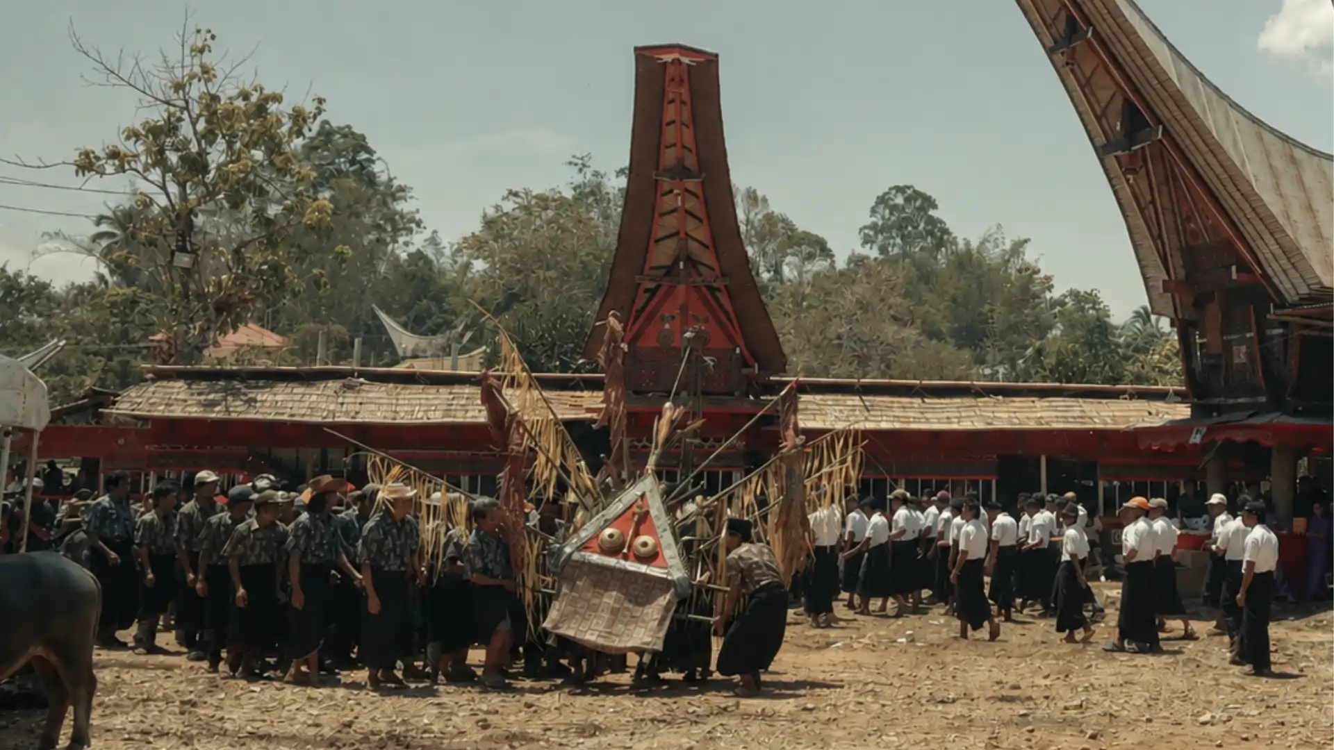 Toraja: Where Ancestral Belief Lives in the Modern World