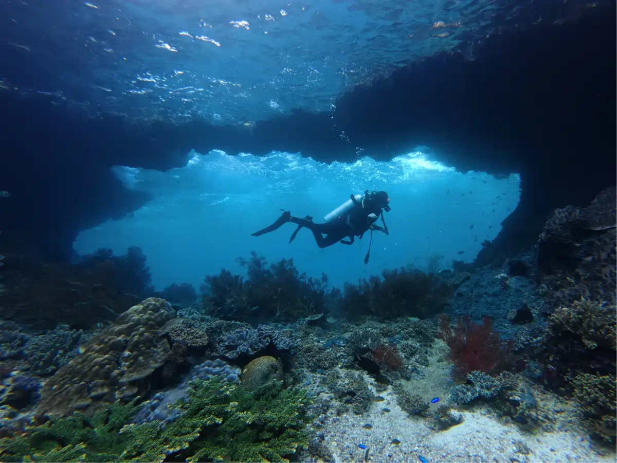 raja ampat-03