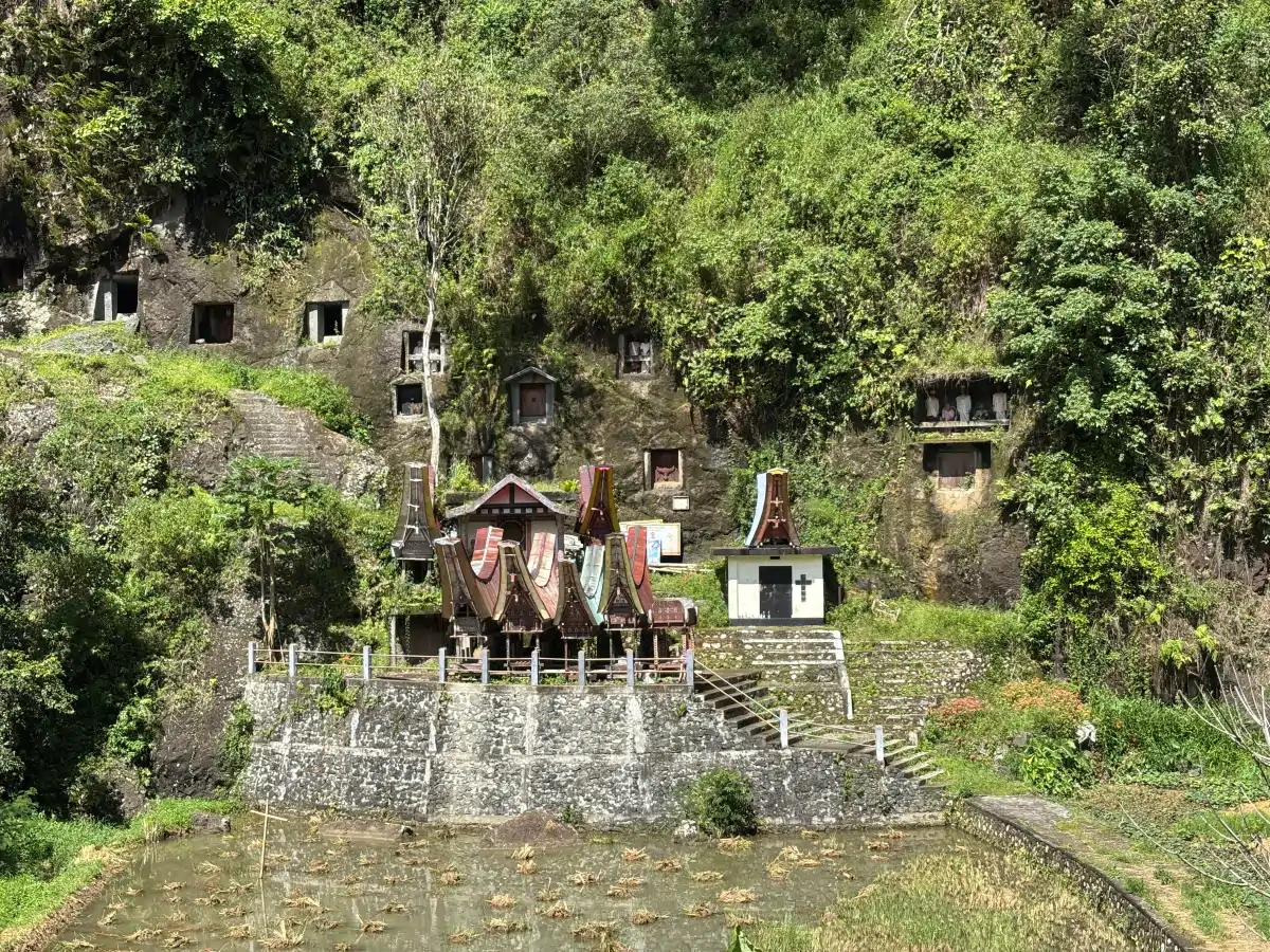 toraja-04
