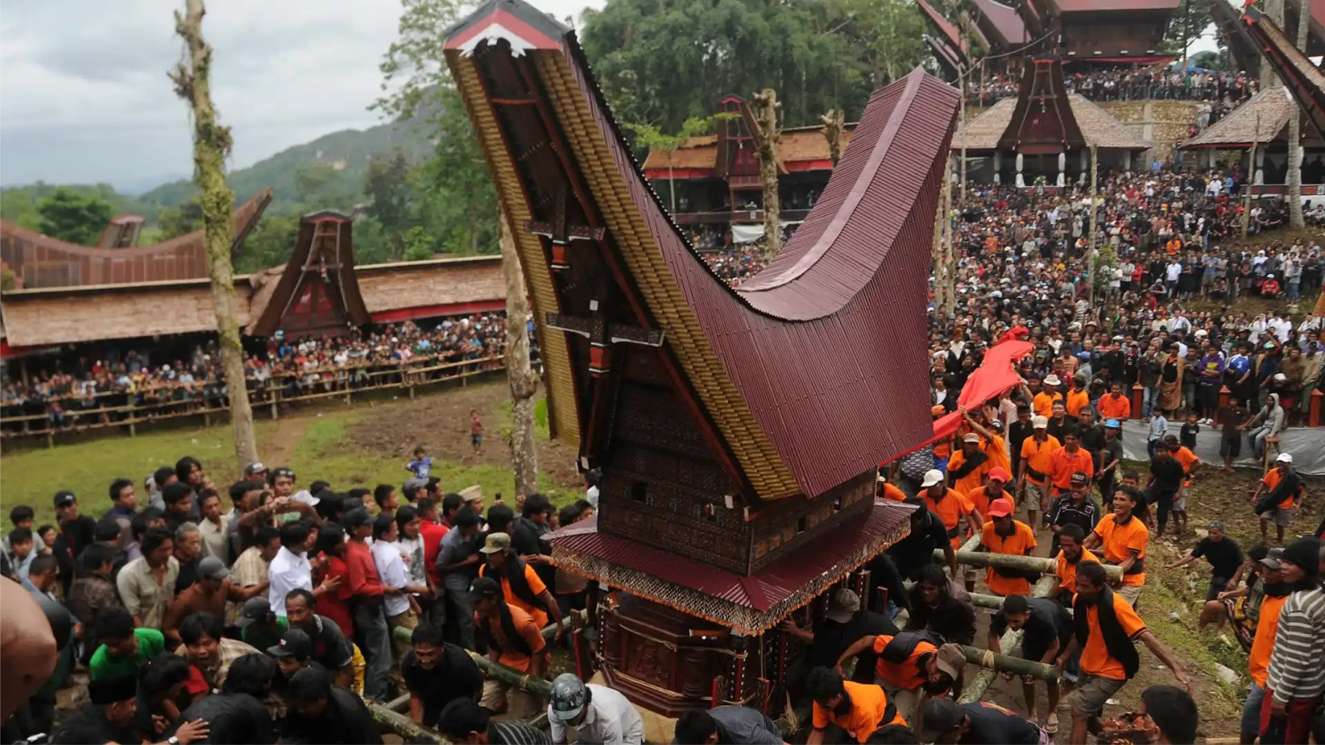 Toraja — Tongkonan, pareti rocciose e tradizioni vive