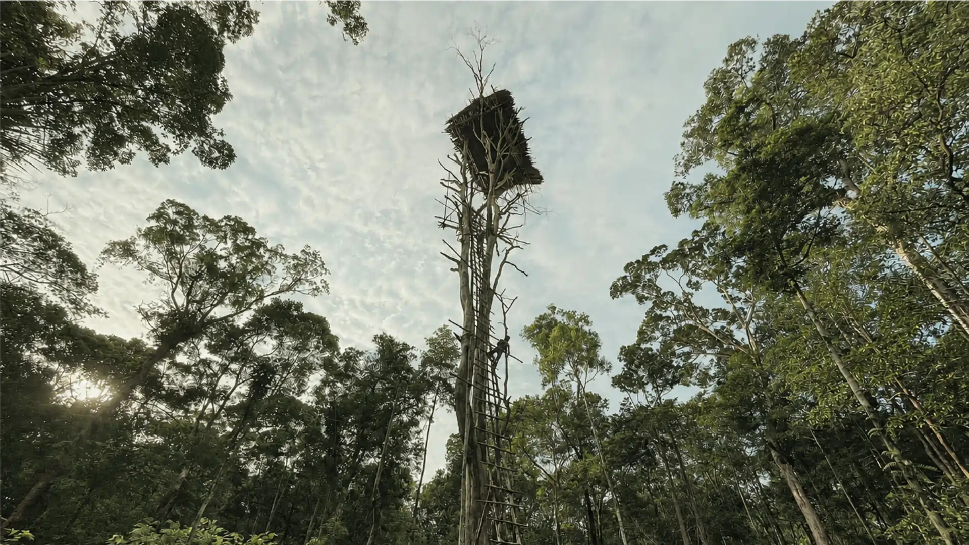 Indonesia’s Last Living Frontiers
