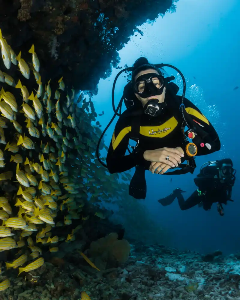 Marine Adventures