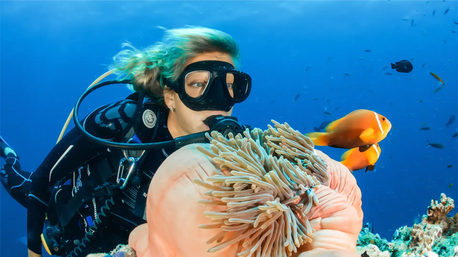 Bunaken & Lembeh — Pareti coralline, tartarughe e mondi in miniatura