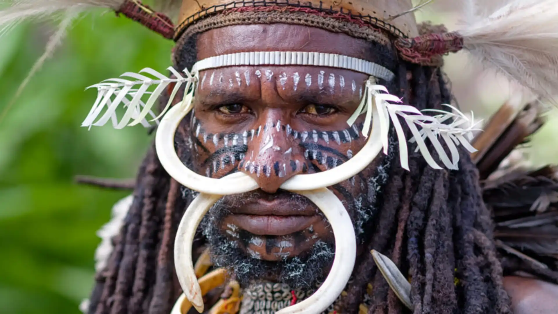 Epic Papua — Altopiani, antenati e frontiere vive