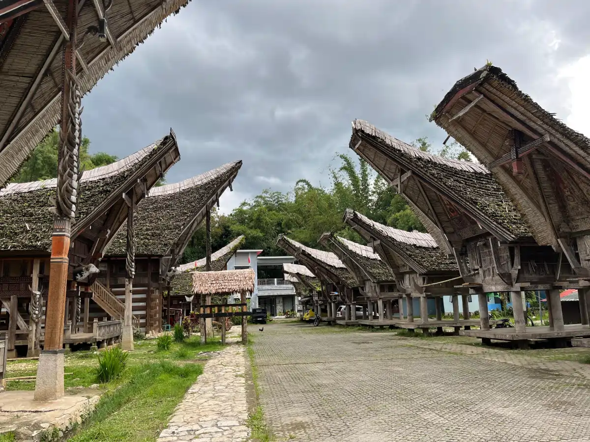 toraja-05