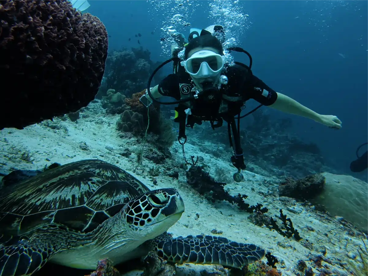 bunaken-04