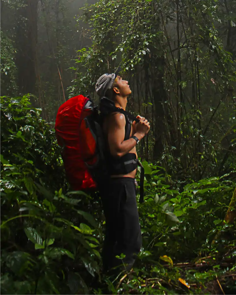 Nature Exploration