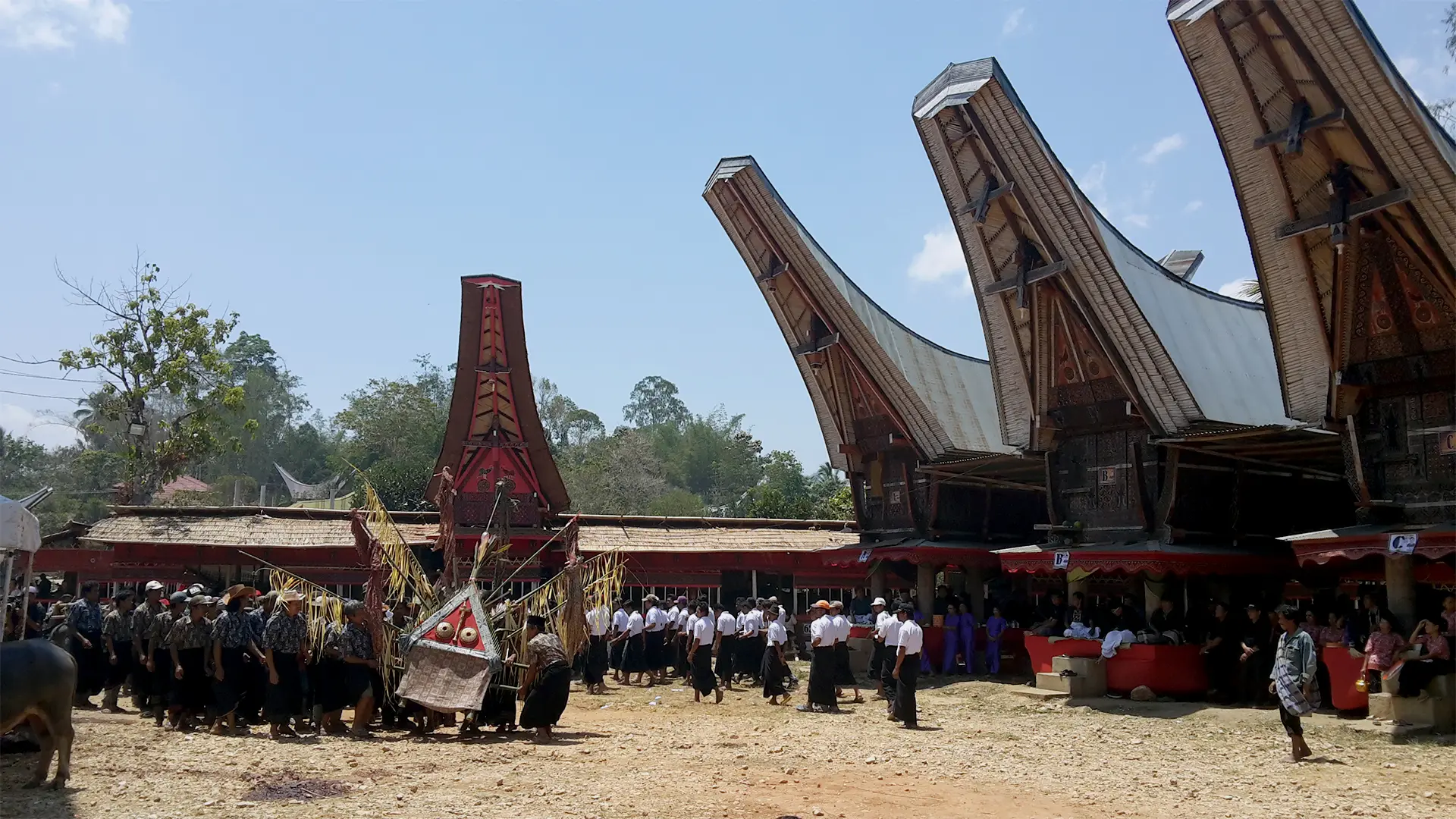 Toraja — Highland Culture & Village Encounters