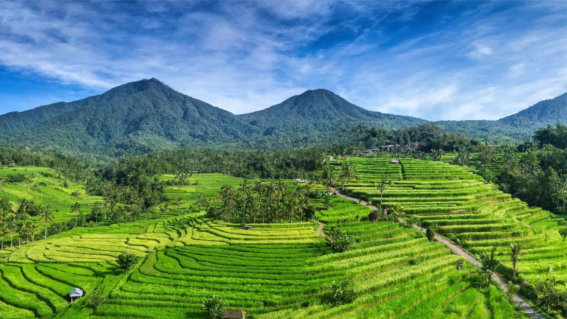 Bali Classic — Temples, Highlands & Island Shores