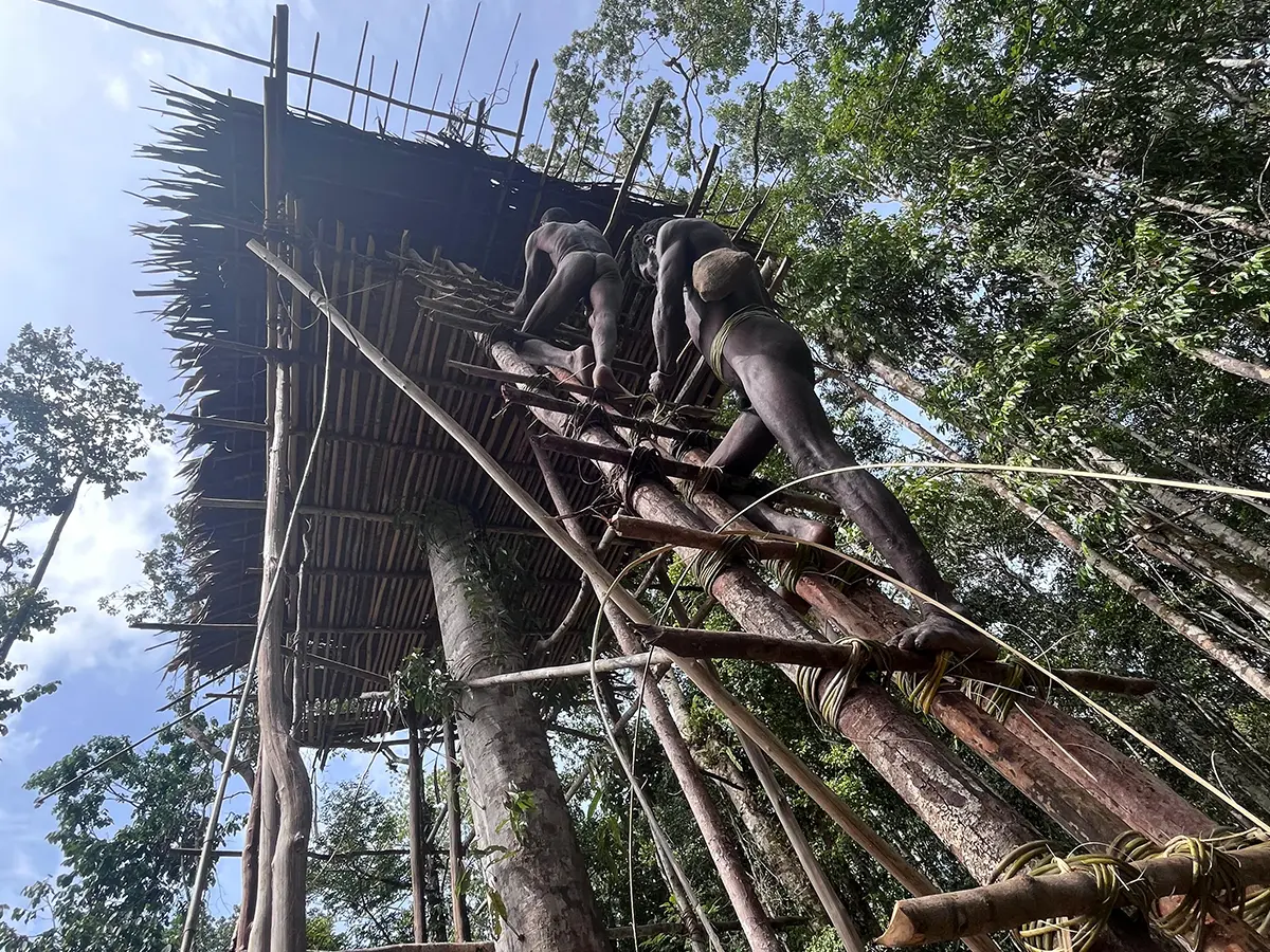 korowai-06