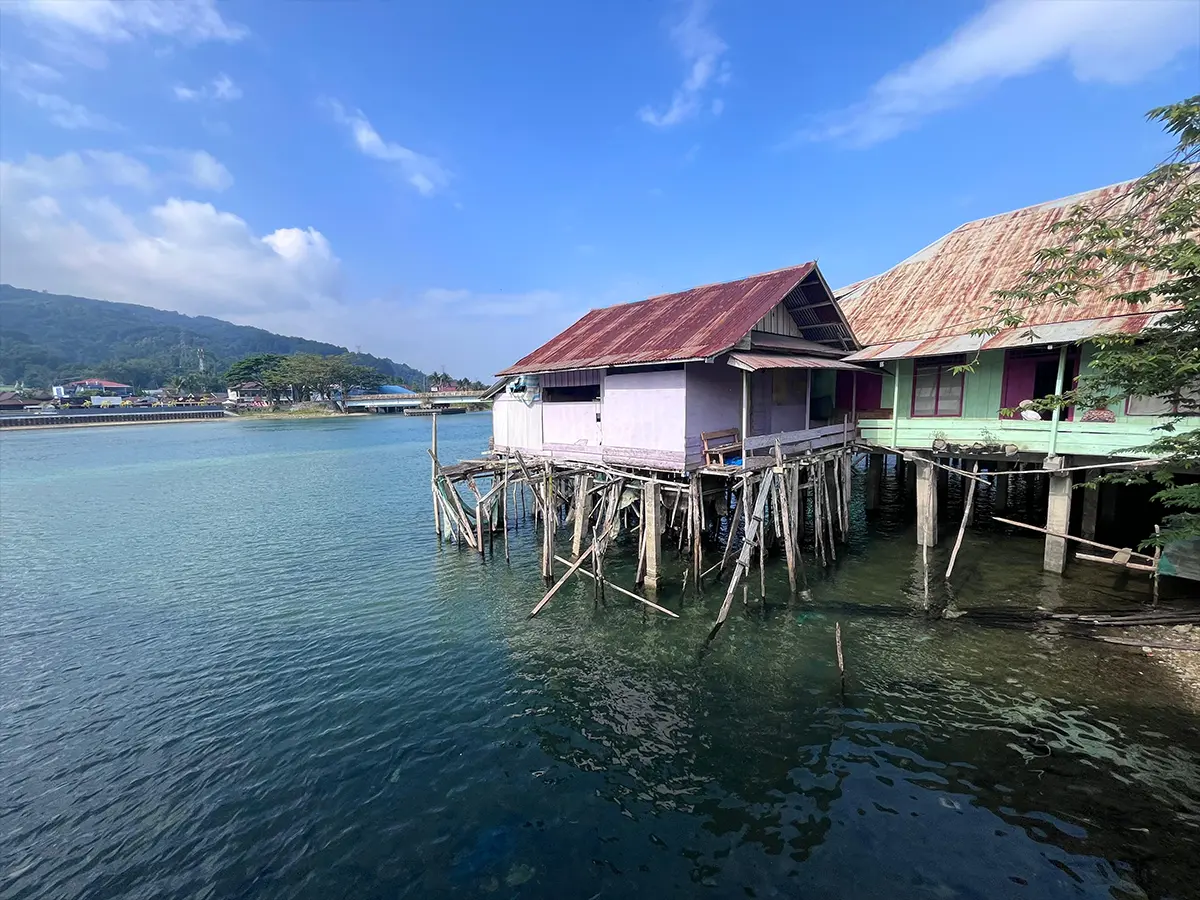 Toraja → Palopo → Lake Poso