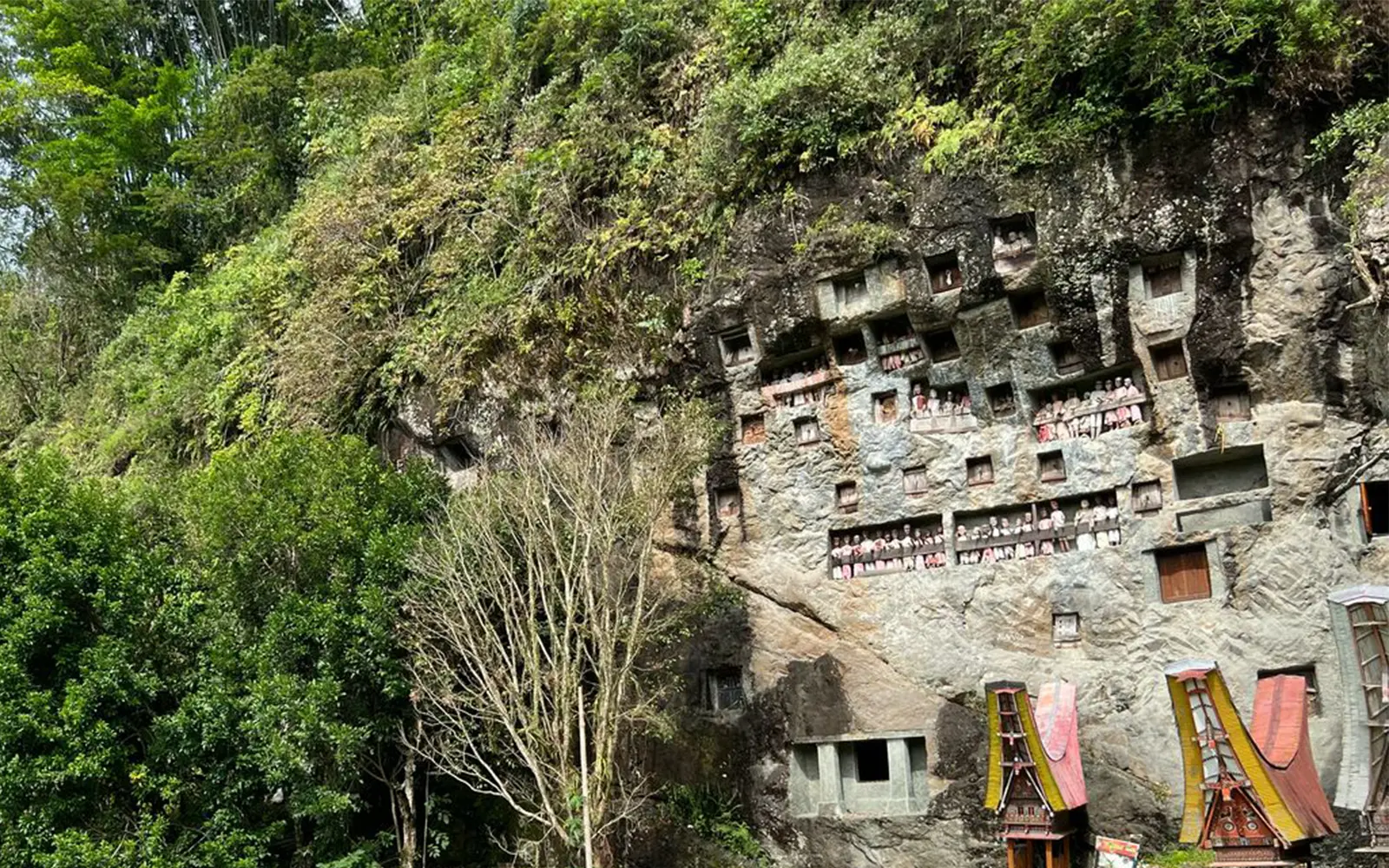 Getting to Toraja from Makassar: Route, Travel Time & Stops