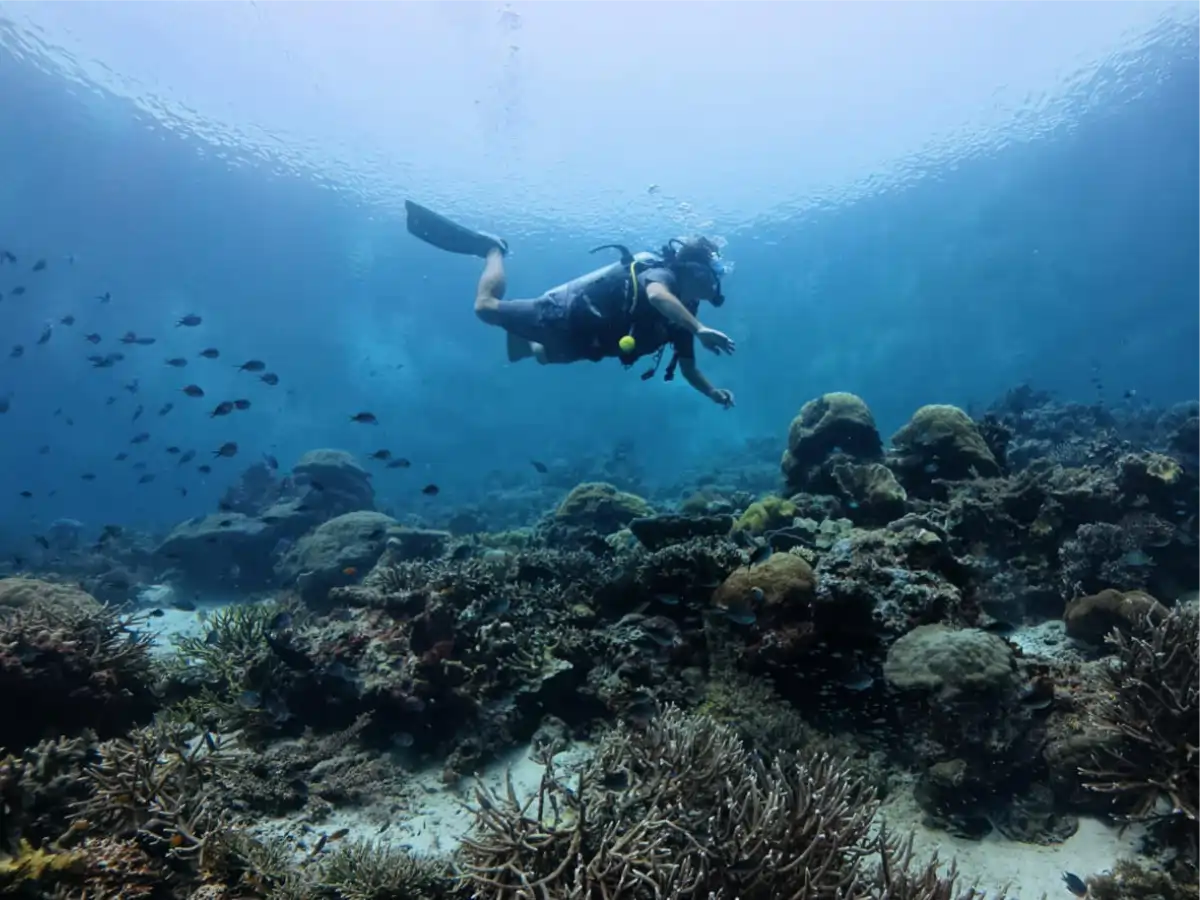 dive-raja-ampat