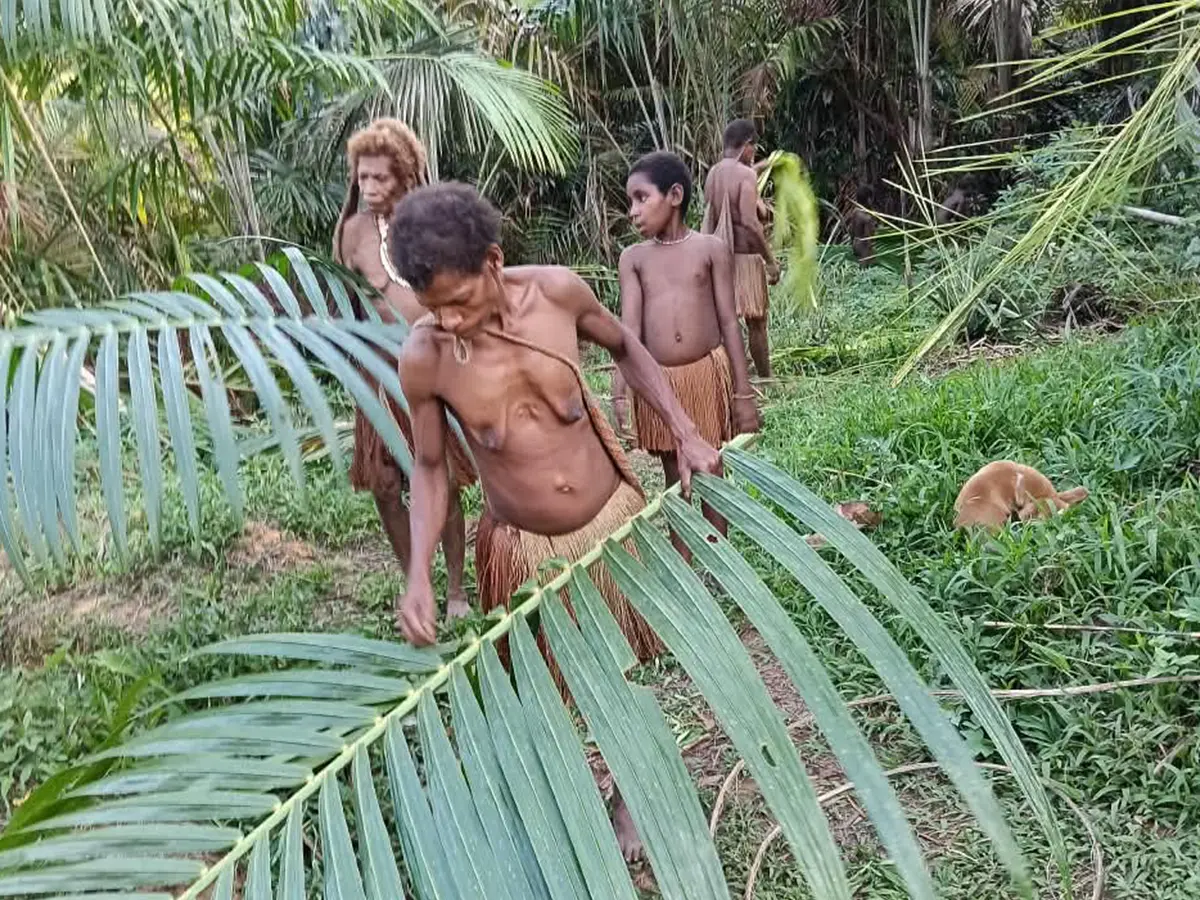 korowai-11