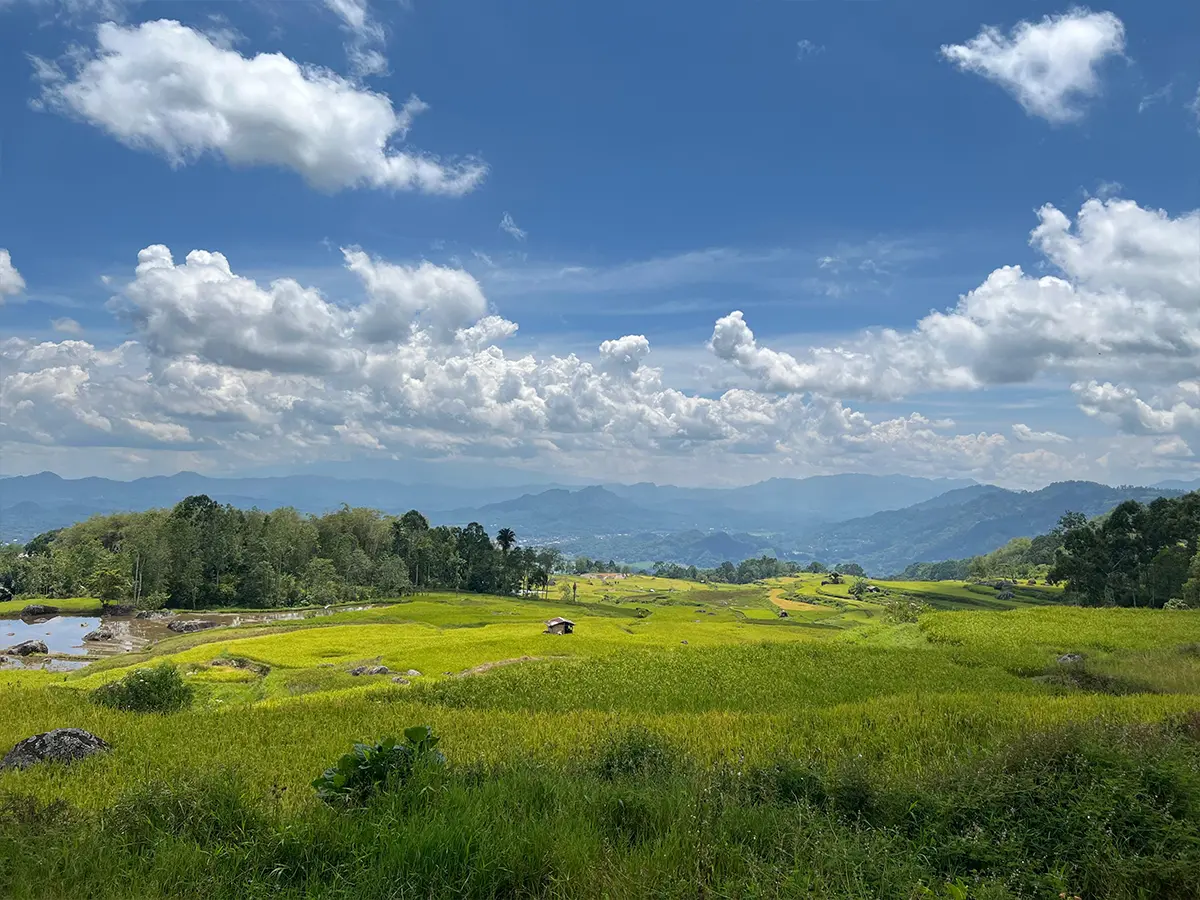 toraja-trekking-02