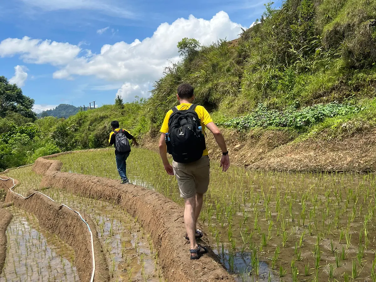 Rantepao → Rural Toraja → Limbong